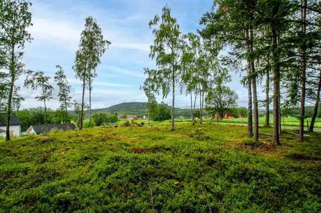 Freehold building plot in a sunny, rural location. 1292m². Easy access. — image 11