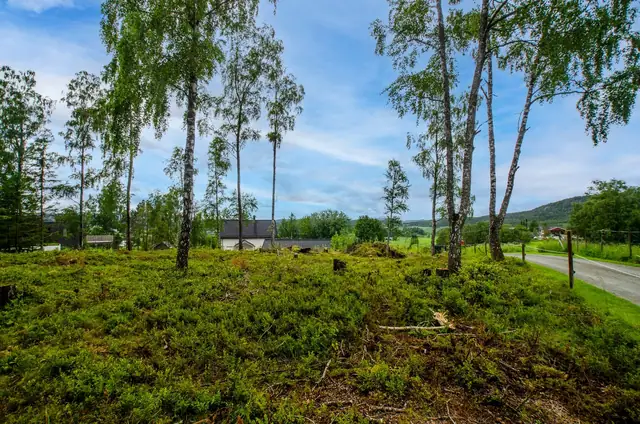 God plass for både bolig og garasje.