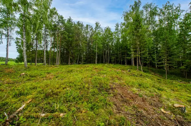 Freehold building plot in a sunny, rural location. 1292m². Easy access. — image 4