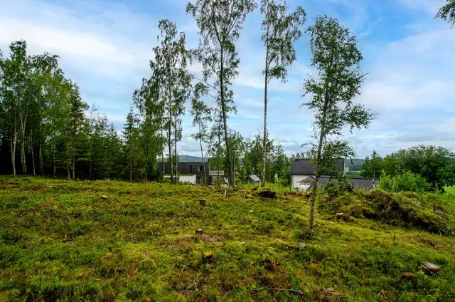 Freehold building plot in a sunny, rural location. 1292m². Easy access. — image 5
