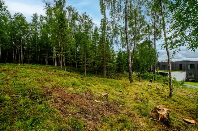 Freehold building plot in a sunny, rural location. 1292m². Easy access. — image 7