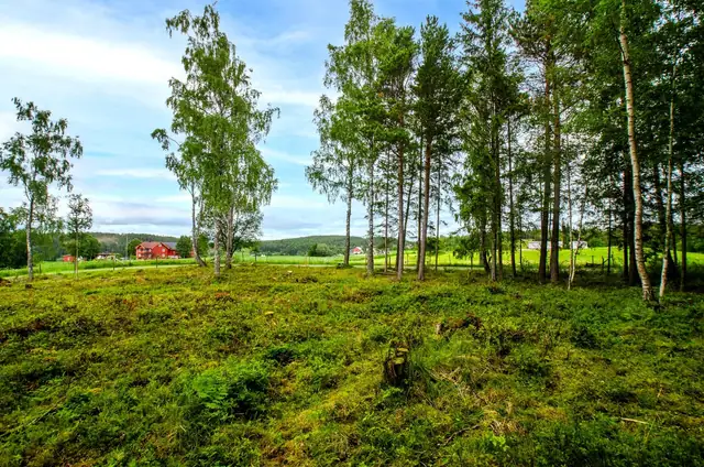 Freehold building plot in a sunny, rural location. 1292m². Easy access. — image 9