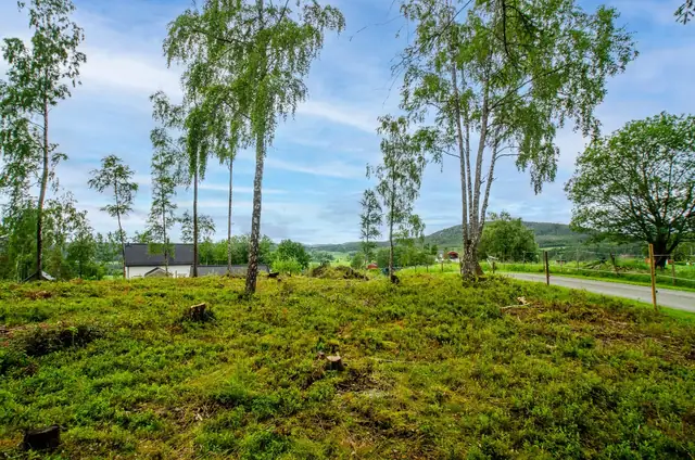 Freehold building plot in a sunny, rural location. 1292m². Easy access. — image 10