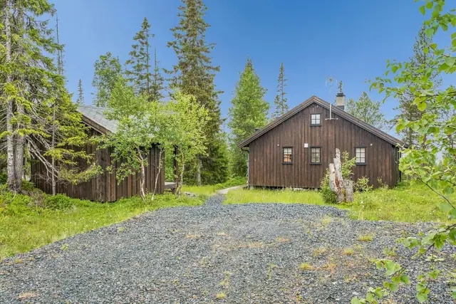 Bilvei helt fram til hytten på sommerstid. Bra med parkeringsplass like utenfor hytten.
