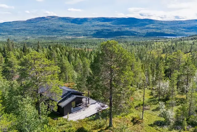 Hytte beliggende i naturskjønne omgivelser med fin utsikt. Fine tur-og jaktområder sommer og vinter. Gode solfrohold.