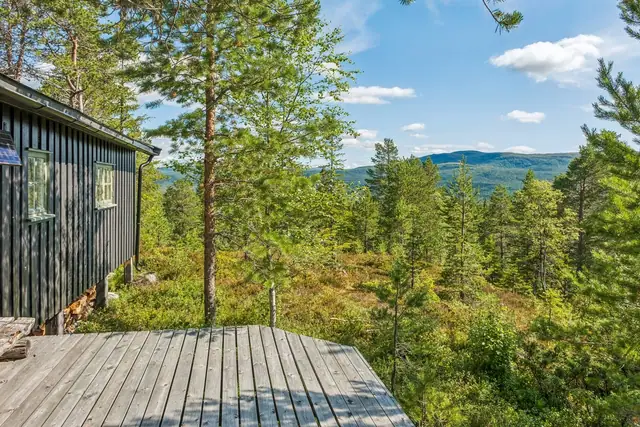 Området bugner av turmuligheter uansett årstid og på vinterstid finner du oppkjørte skiløyper kort vei fra hytten.