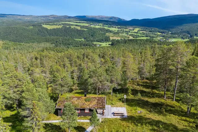 Trivelig tømmerhytte med fin beliggenhet ved Småliin.