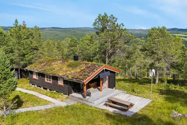 Hytta ligger skjermet for andre hytter i vakkert terreng med flotte turområder både på sommeren og vinteren. Godt utgangspunkt for bærplukking.

Fjellet og områdene rundt hytta er like attraktive på sommeren som på vinterstid med sine ypperlige fjellterre