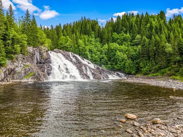 Charming detached house by the beautiful Skjækerfossen waterfall. Right next to fine areas for hunting, fishing and outdoor life. — image 24