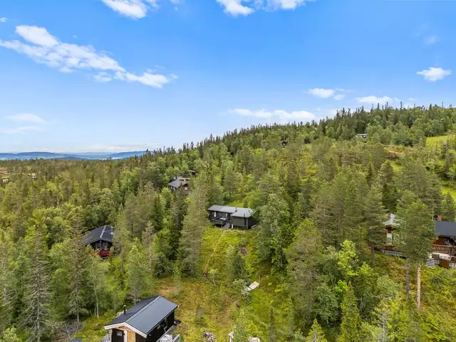 Oppkjørte skiløyper mellom parkering og eiendommen som tar deg til hele løypenettet i Heståsdalen og omegn.