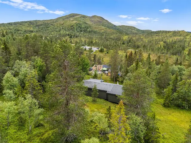 Mange muligheter for utflukter på sommerhalvåret. Man har et svært godt utgangsunkt for bærplukking i området.