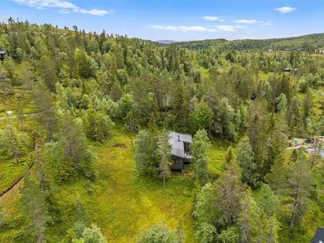 Flott påbygd hytte med innlagt strøm. Vann til vegg. Parkering ca. 200m unna. Fin utsikt til Skallen. Skiløype like ved. — bilde 20