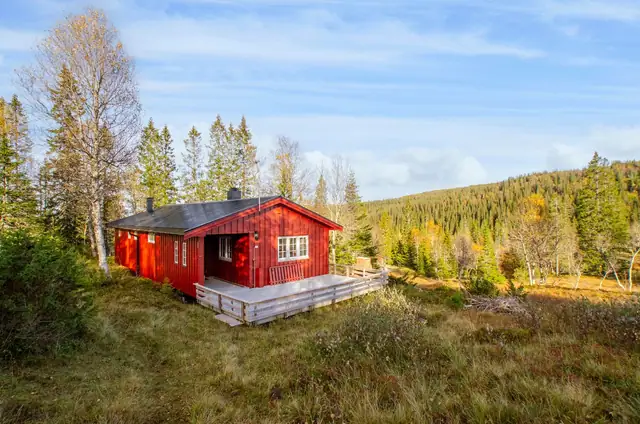 Koselig fjellhytte med attraktiv & skjermet beliggenhet. Gode turmuligheter året rundt. 2 soverom & hems. — bilde 20