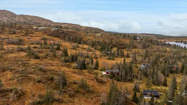 Hytta ligger på ca 486moh.