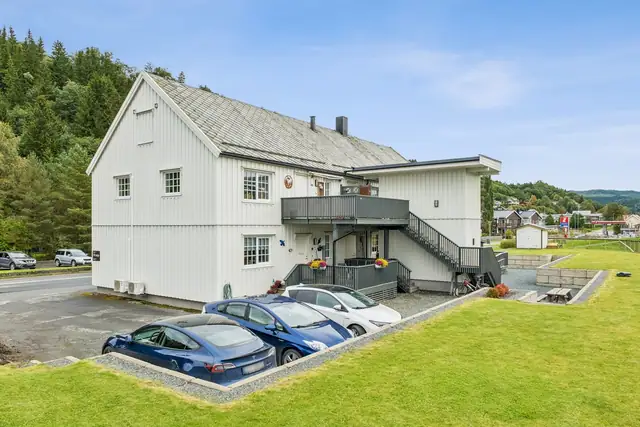 Lettstelt leilighet med sentral beliggenhet og flott utsikt utover elva!