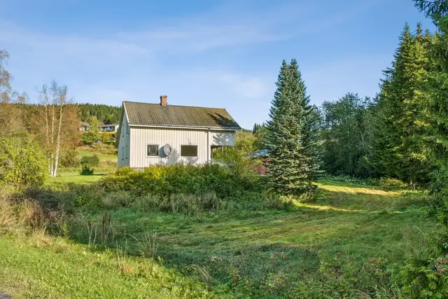 Snøfres og gressklipper medfølger handelen.