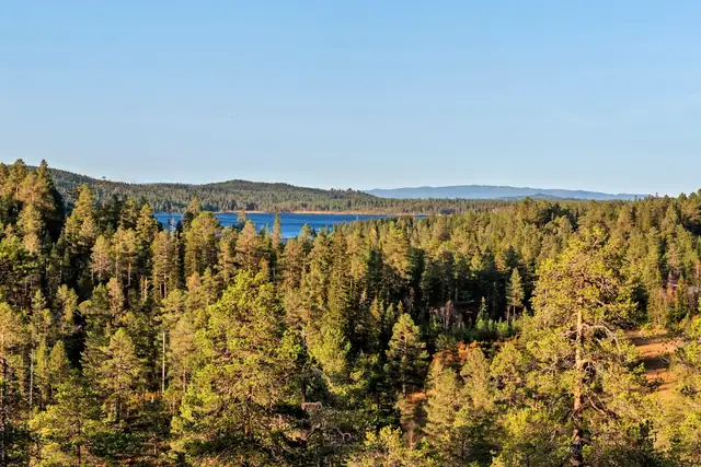 Koselig hytte med fin beliggenhet på en høyde. Flott utsikt & gode solforhold. Ca 10 min gange fra parkering. — bilde 4