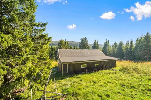 Hytta ligger i øvre del av feltet, ca 340 moh i en lysning i skoen.