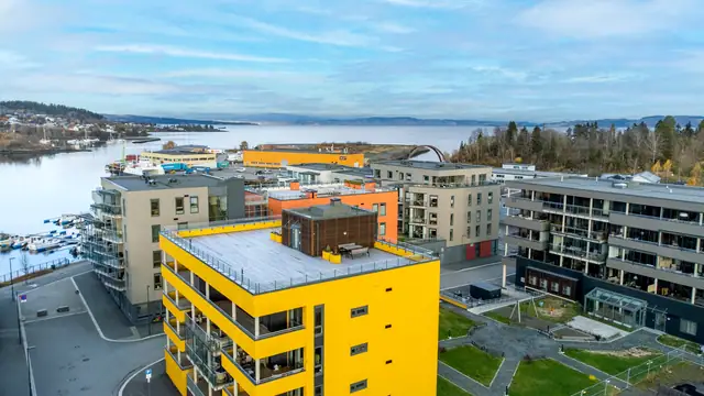 Pent opparbeidet hage med interne stier, gressplen og lekeplass.