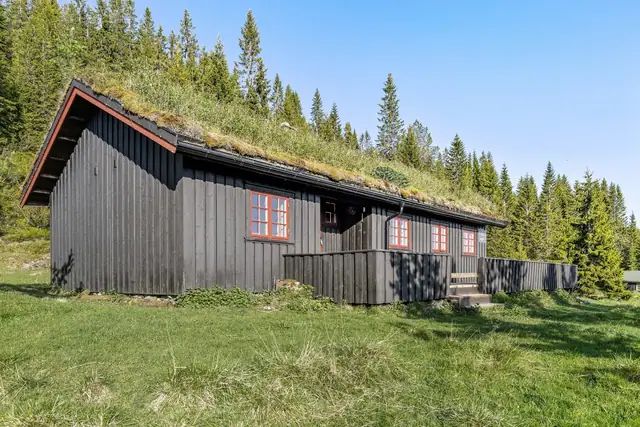 Flott utsikt og ingen gjenboere.