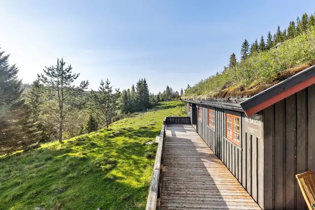 Fra hytta er det 100 meter til løypenettet, og ca 20 høydemeter.