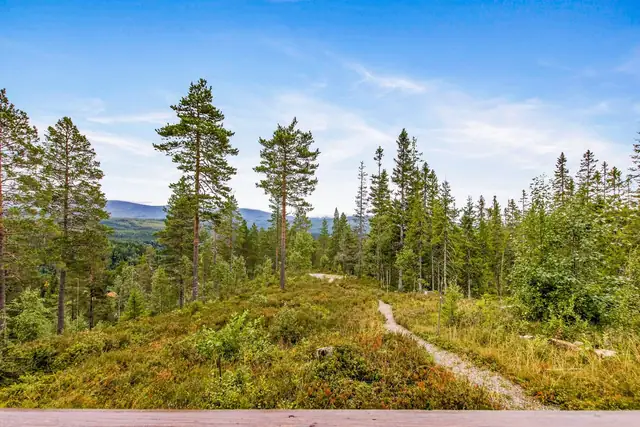 Når man er heldig eier av hytte i dette området, har man anledning til å bli en del av Seter Hytteeierforening