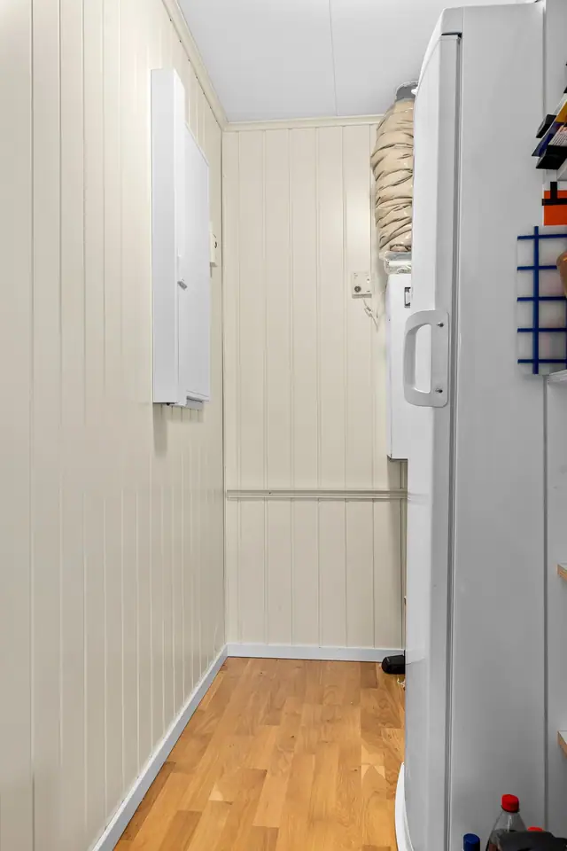 Bod