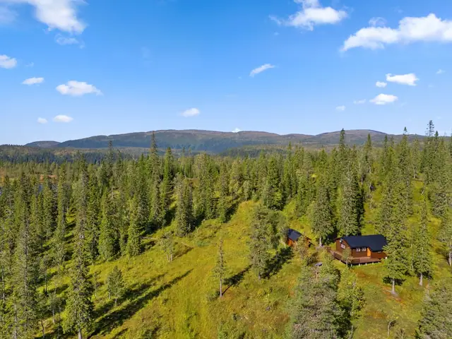 Trivelig hytte med anneks med den ekte hyttefølelsen!