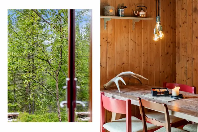 Superb family cabin near Risvatnet, part of a wonderful recreation area with good hunting! — image 12