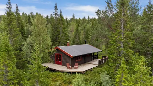 Superb family cabin near Risvatnet, part of a wonderful recreation area with good hunting! — image 24