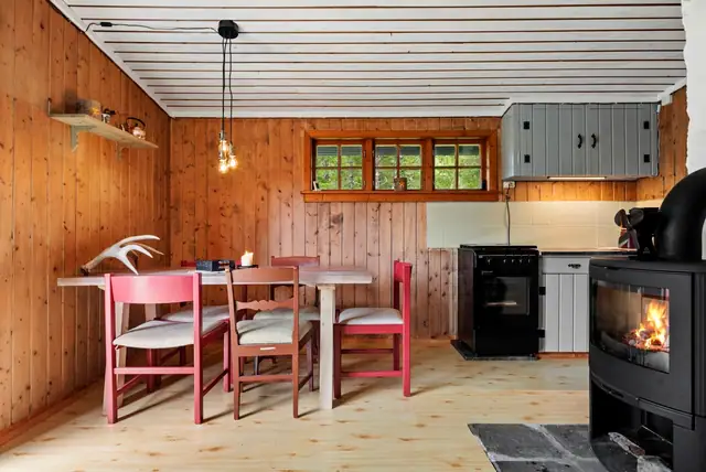 Superb family cabin near Risvatnet, part of a wonderful recreation area with good hunting! — image 8