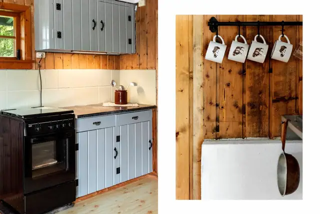 Superb family cabin near Risvatnet, part of a wonderful recreation area with good hunting! — image 9