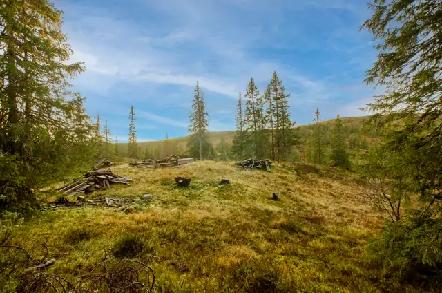 Vulusjøvegen 1067