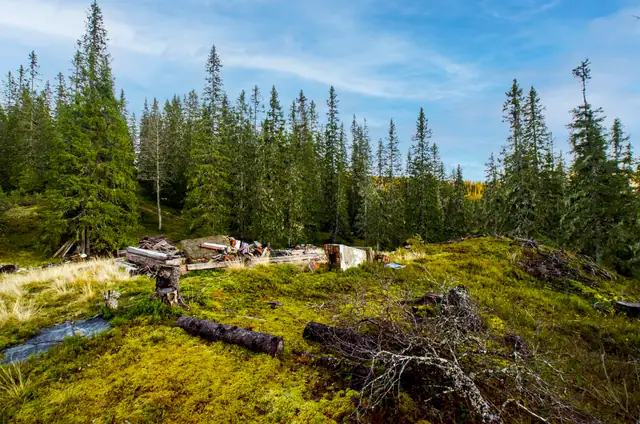 Vulusjøvegen 1067