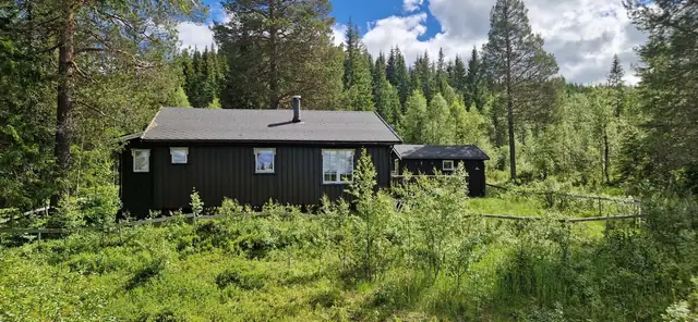 Velkommen til en hyggelig visning!