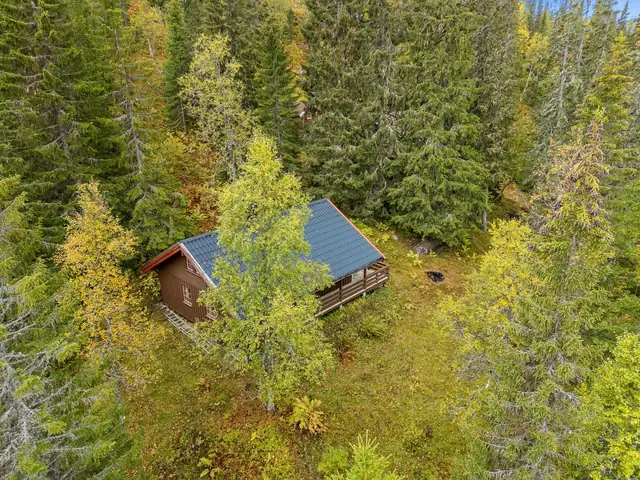 Dronefoto