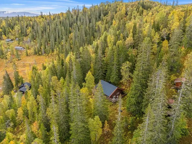 Dronefoto